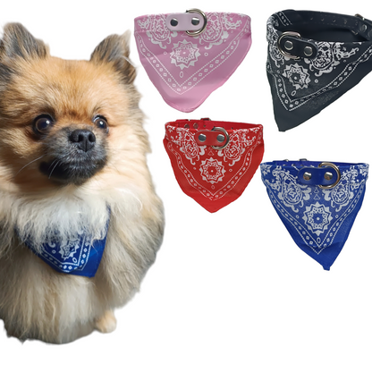 Hunde Halsband Bandana Hundehalsband Mit Tuch Verstellbar