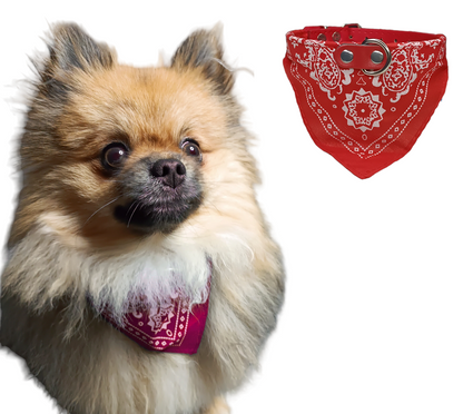 Hunde Halsband Bandana Hundehalsband Mit Tuch Verstellbar