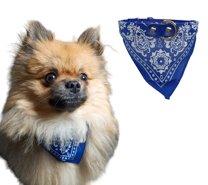 Hunde Halsband Bandana Hundehalsband Mit Tuch Verstellbar