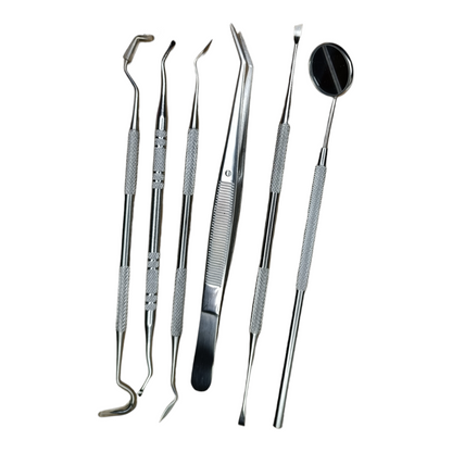 Zahnarzt Instrumente Zahnarzt Besteck Dental Set Zahnpflege 6Teiliges Set mit Tasche