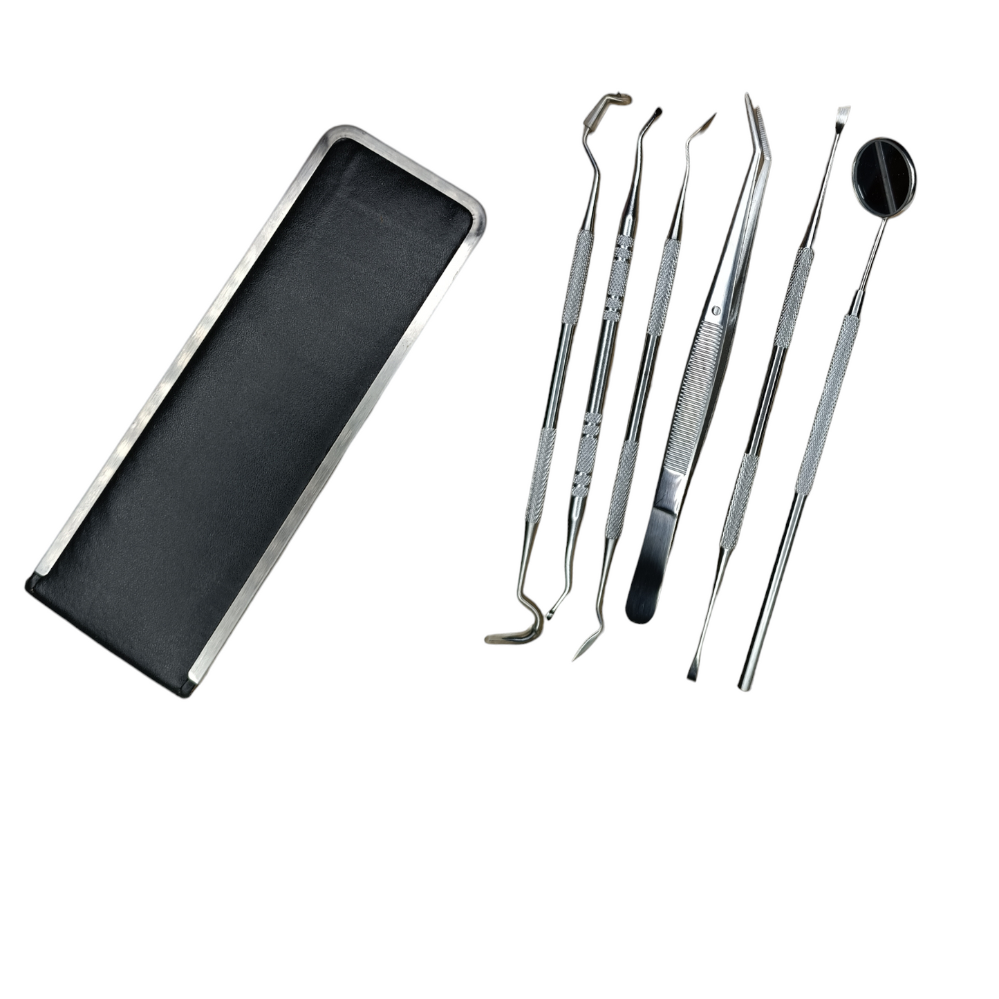 Zahnarzt Instrumente Zahnarzt Besteck Dental Set Zahnpflege 6Teiliges Set mit Tasche